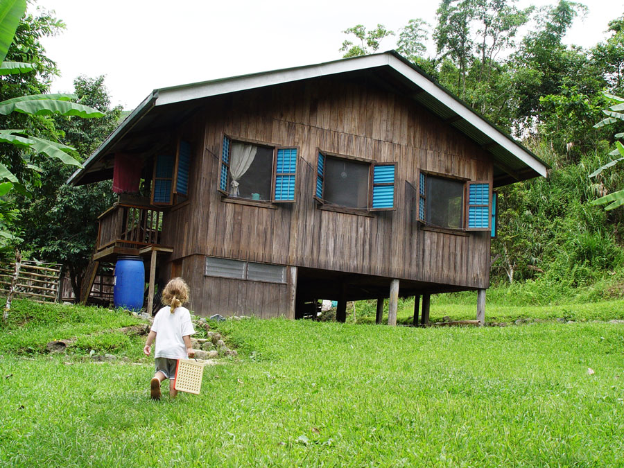 House, Termite, Philippines House with Termite Problem in the Philippines