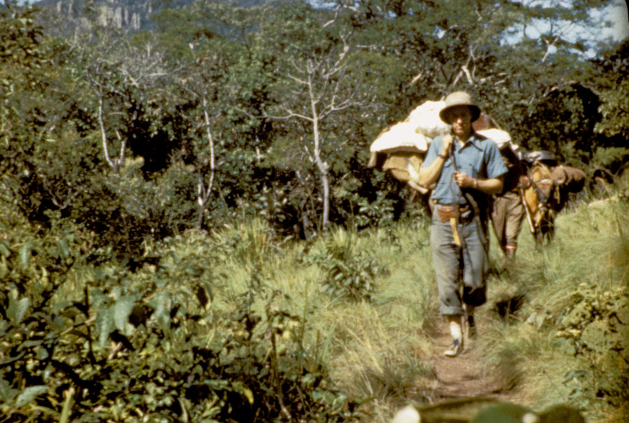 On the Ayore trail Ayore, Jungle, Trail