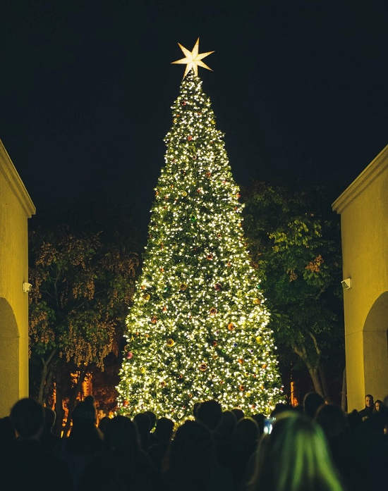 Christmas Tree