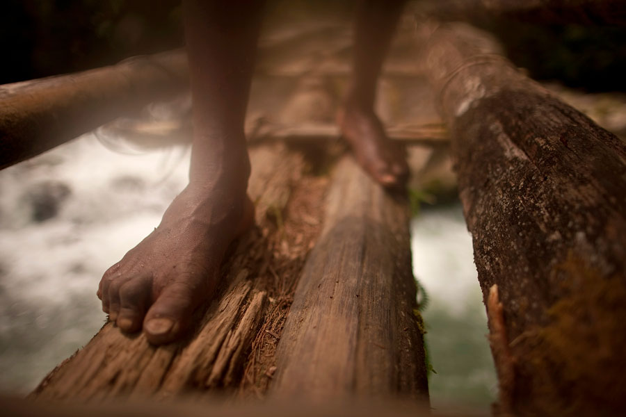 A Purposeful Journey