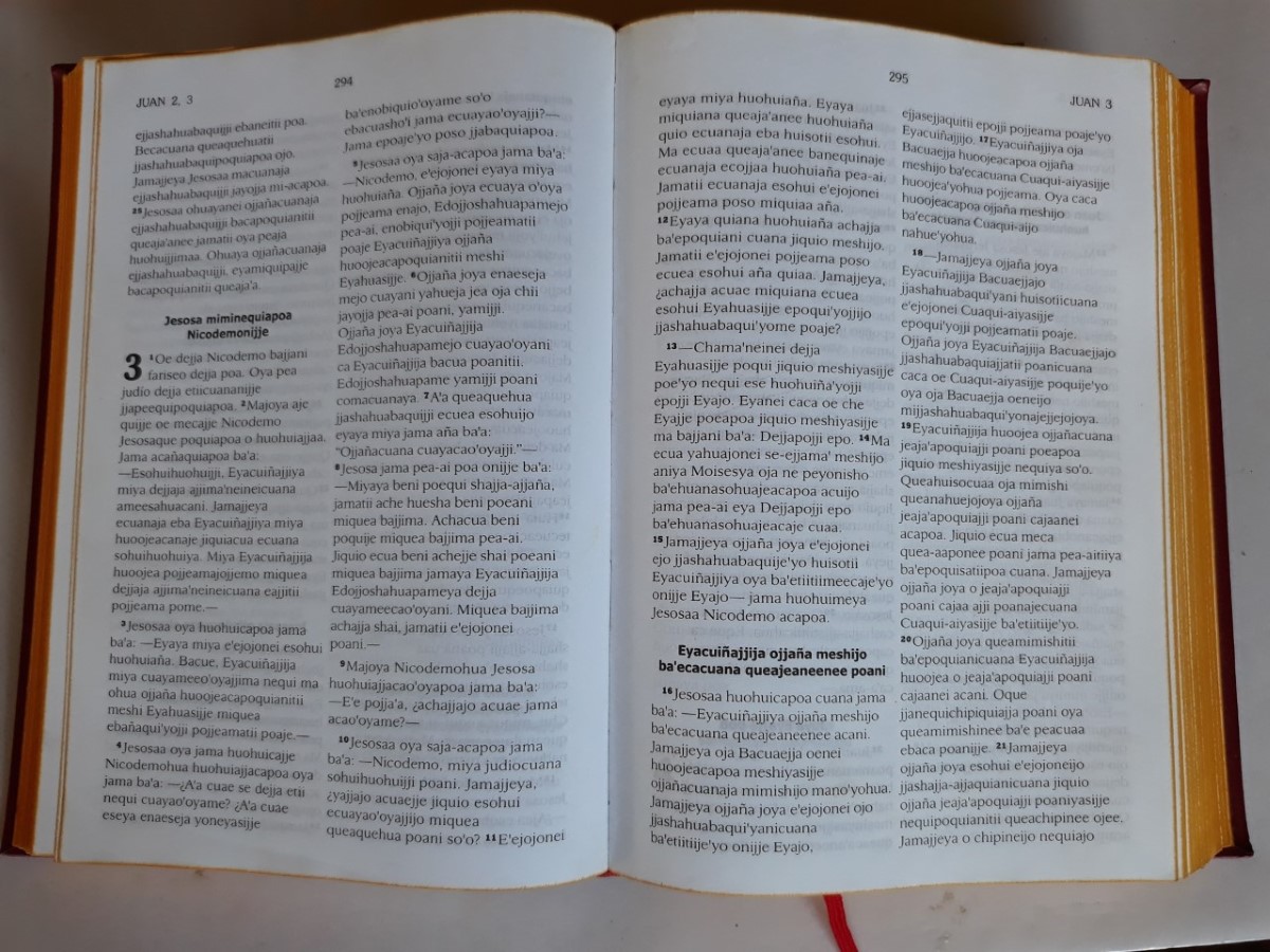 New Foreign Bible